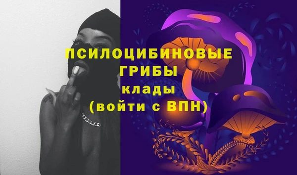 прущая мука Богородск