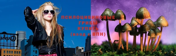 прущая мука Богородск