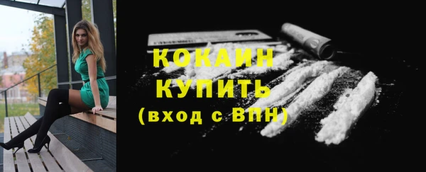 сатива Богородицк