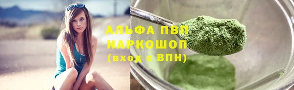 сатива Богородицк