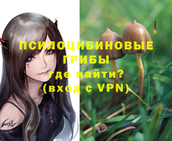 дурь Беломорск