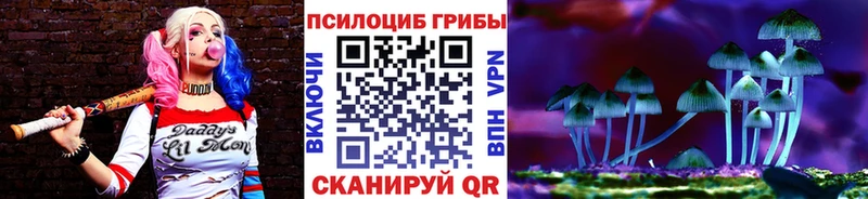 Галлюциногенные грибы Psilocybe  Купить где  Мамадыш 