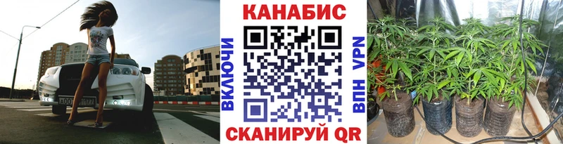 Конопля планчик  Купить где  Мамадыш 